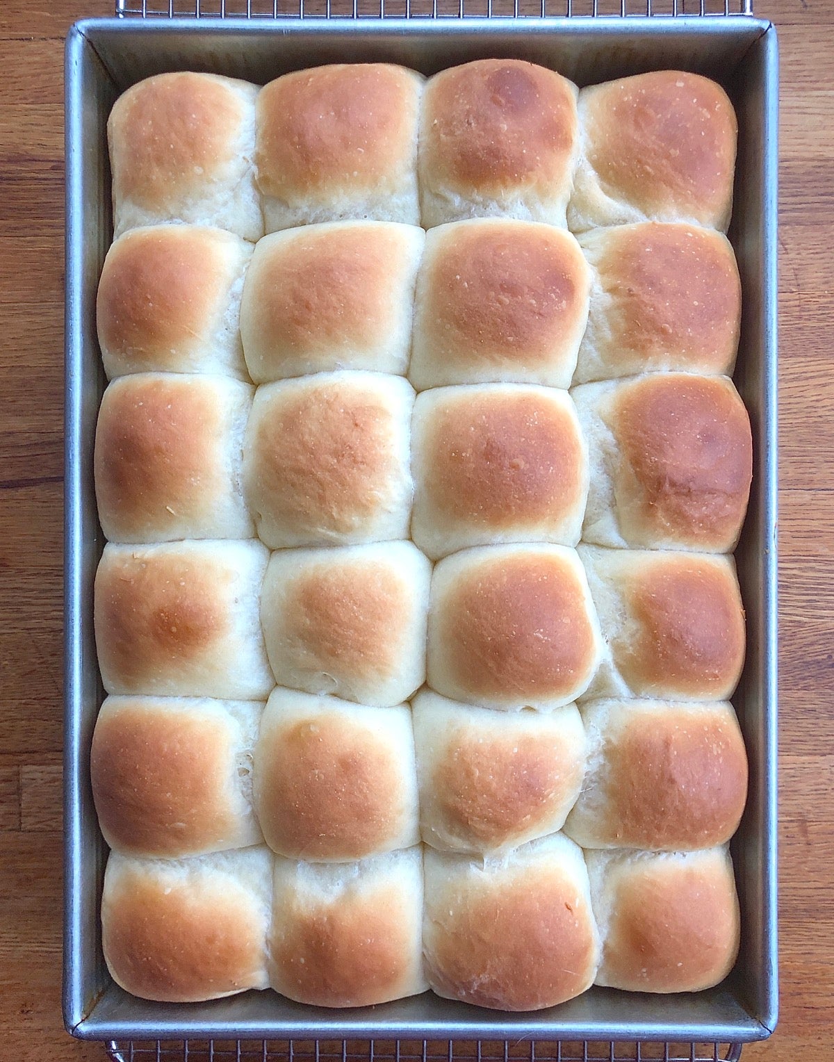 Amish Dinner Rolls King Arthur Baking